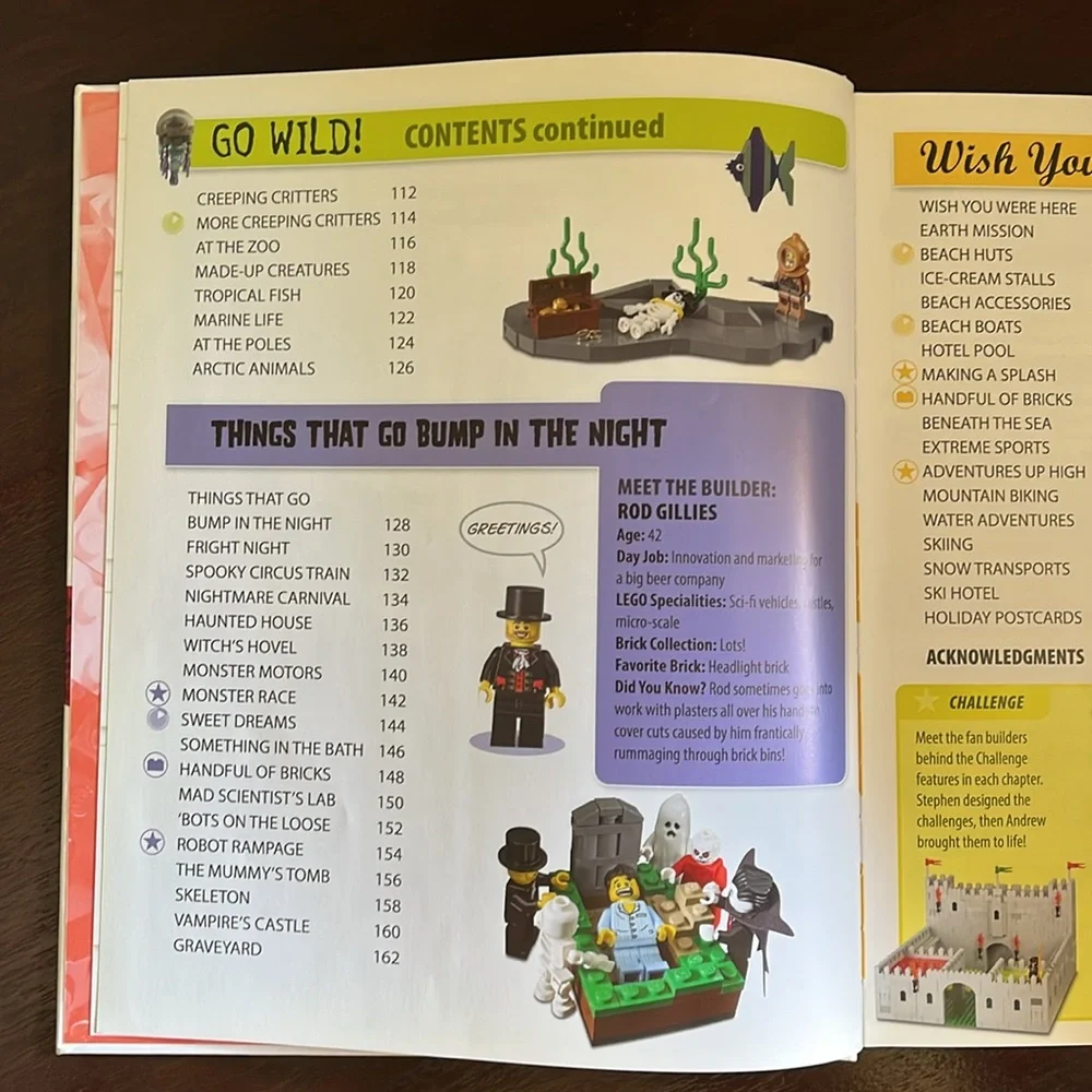 Lego Play Book